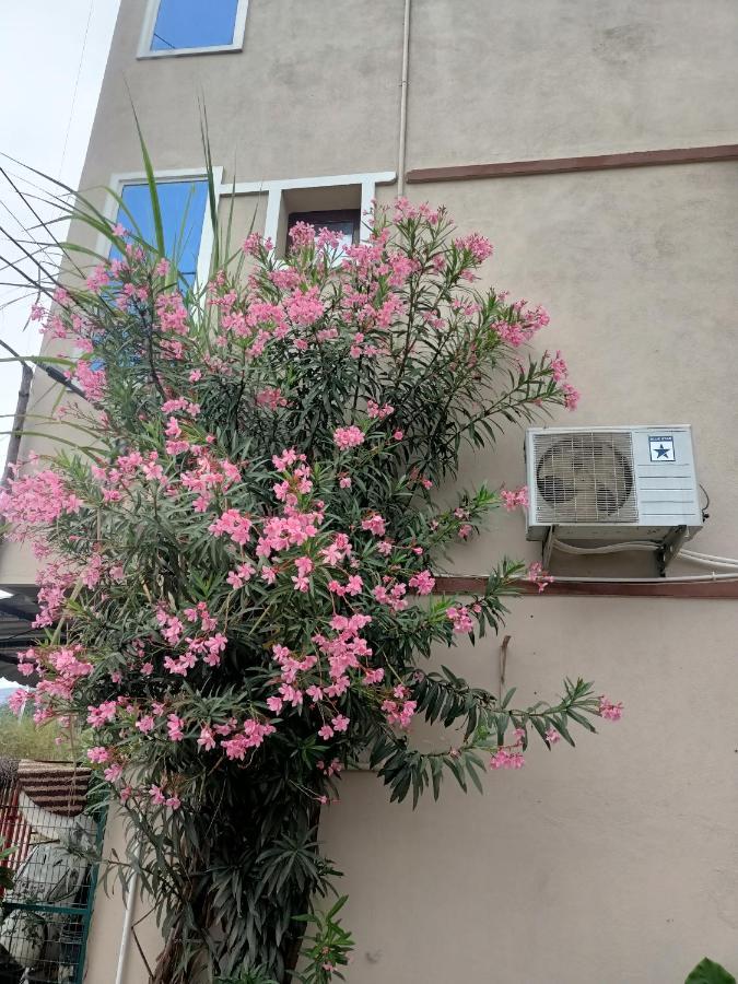Advik Homestays Tirupati Exteriör bild